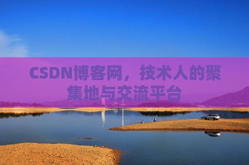 CSDN博客网，技术人的聚集地与交流平台
